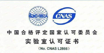 CNAS認(rèn)可的專業(yè)咨詢單位機(jī)構(gòu)在軟件開發(fā)領(lǐng)域的作用